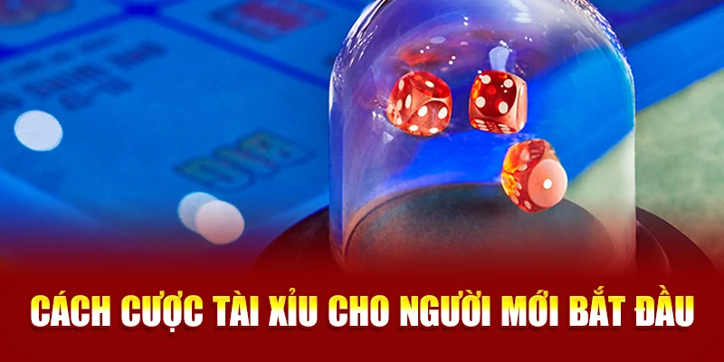 Cách cược tài xỉu cho người mới bắt đầu