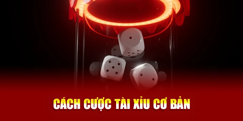 Cách cược tài xỉu cơ bản