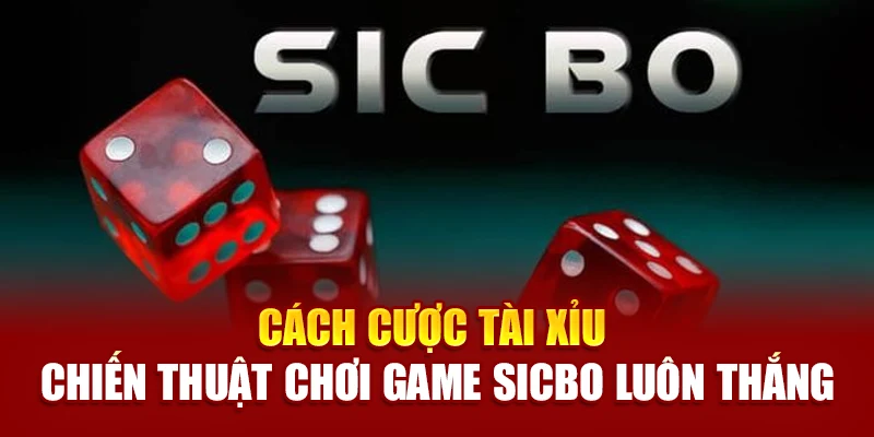 Mẹo và chiến thuật cược tài xỉu hiệu quả