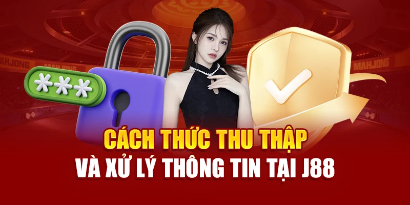 Cách thức thu thập và xử lý thông tin