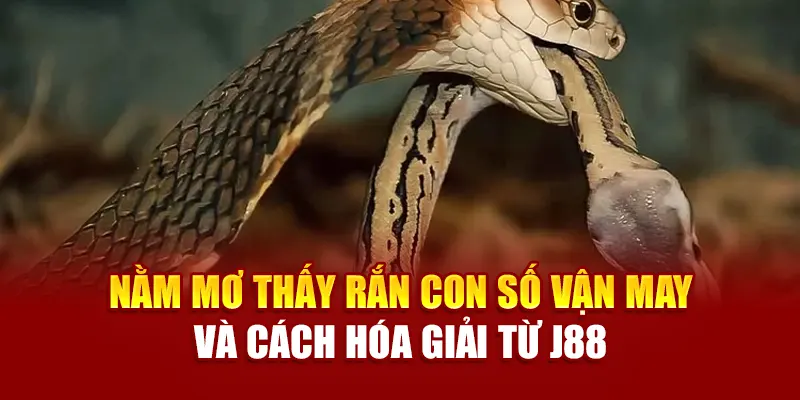 nằm mơ thấy rắn