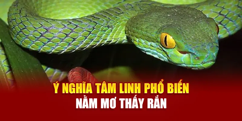 Ý nghĩa tâm linh phổ biến nằm mơ thấy rắn